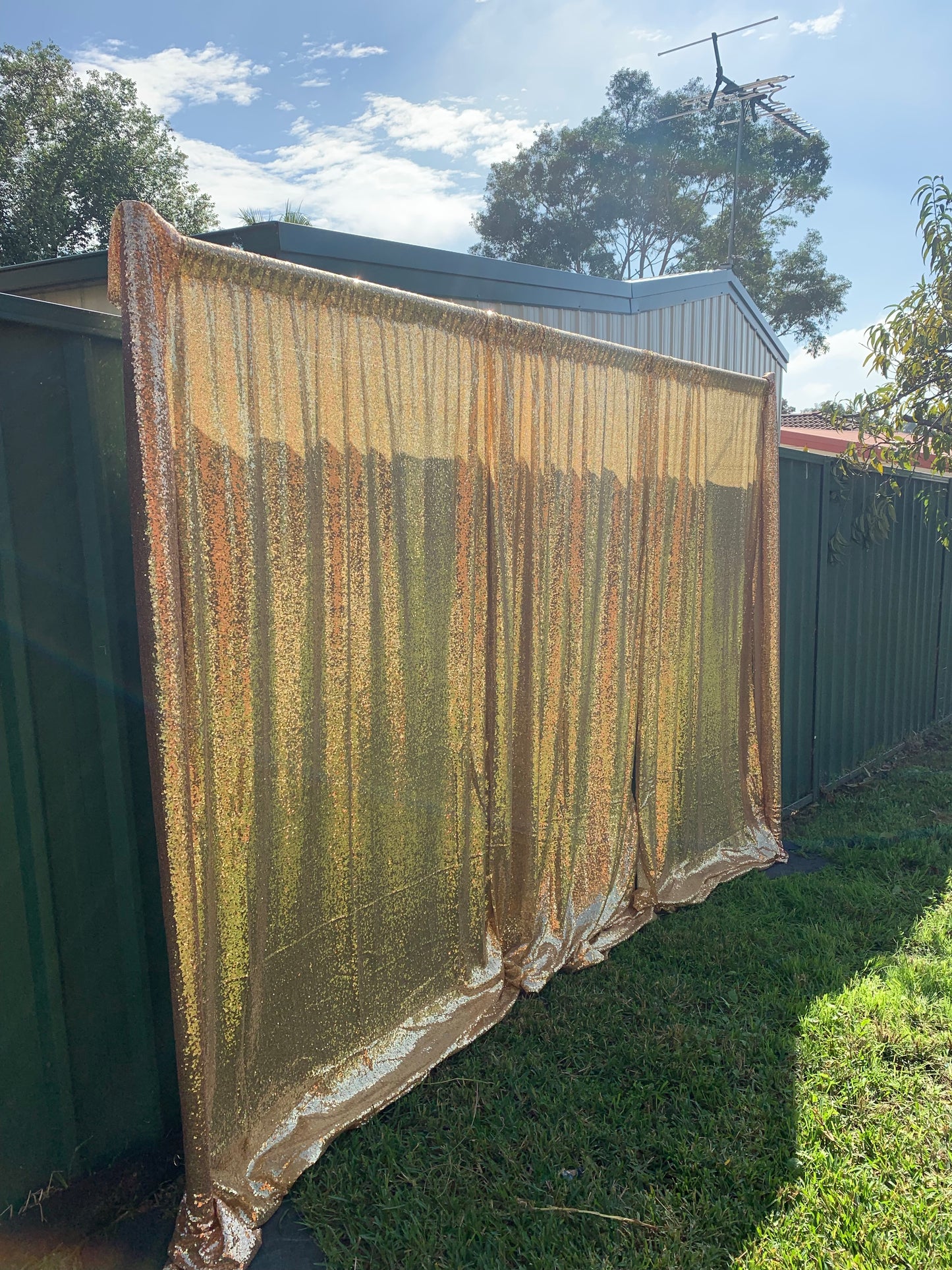 Gold Sequin Backdrop HIRE