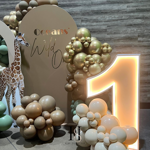 B104 Safari Balloon Backdrop Package