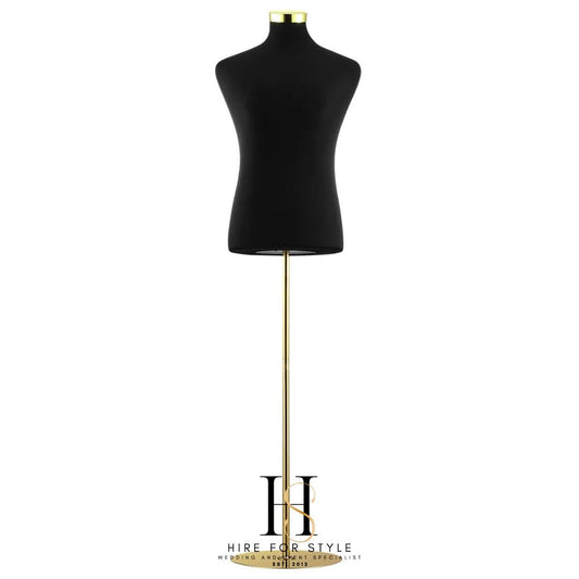 Male Mannequin Torso Display HIRE
