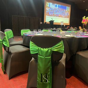 Lime Green Satin Chair Sash HIRE